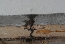 A recent termites extermination company job in the  area